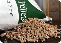pellet