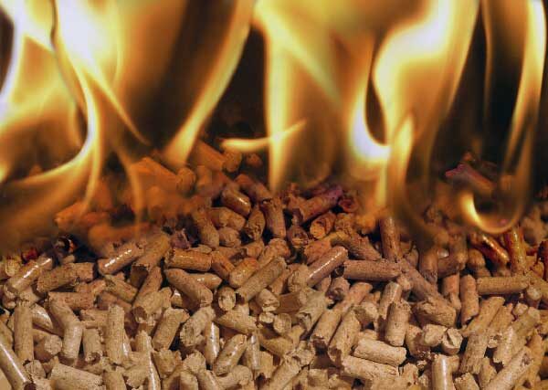 pellets_2010-07-28_16_01_06.jpg